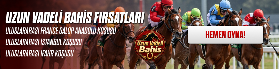 Uzun Vadeli